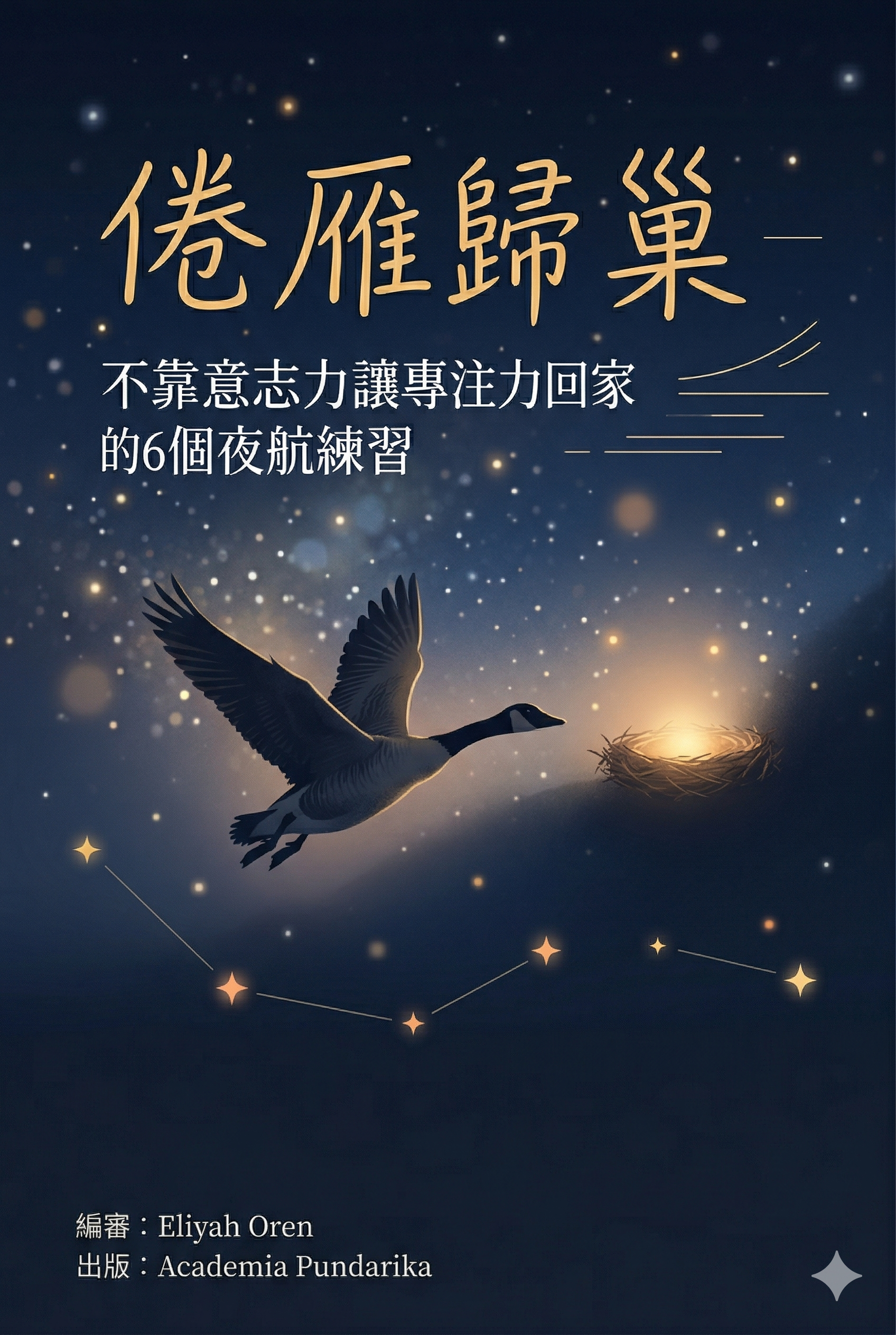 《倦雁歸巢：不靠意志力讓專注力回家的6個夜航練習》 cover